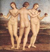 RAFFAELLO Sanzio The Three Graces F France oil painting reproduction
